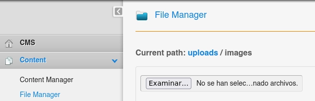 fileManager